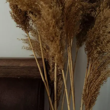 Amazing View - Terrace+netflix - Center Apartment *