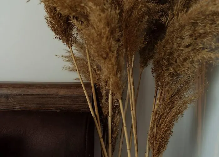 Amazing View - Terrace+netflix - Center Apartman *